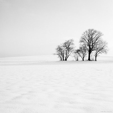 Winterscape I