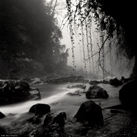 Misty River I