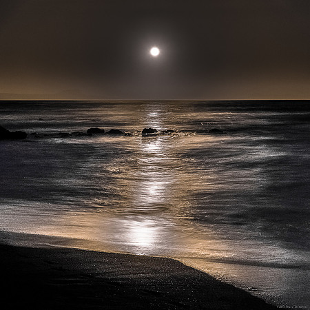Golden Moon