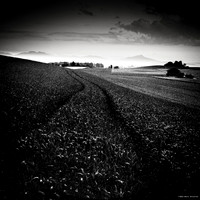 Night Fields IV