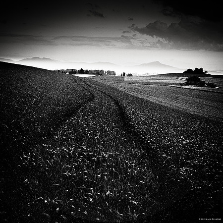 Night Fields IV