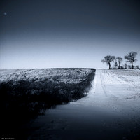 Winter Selenium III