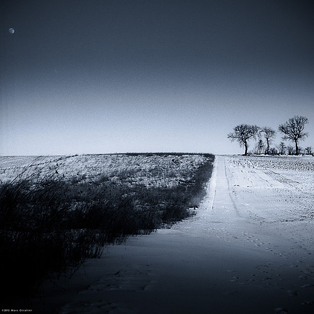 Winter Selenium III