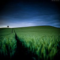 Follow The Line III