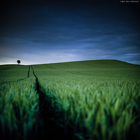 Follow The Line III