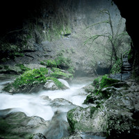 Misty River II
