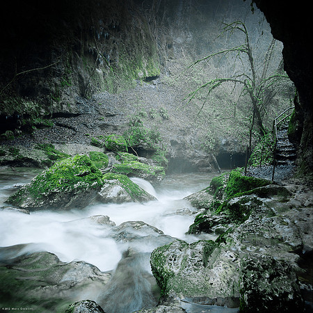 Misty River II