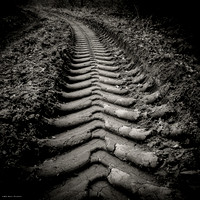 Tracks I