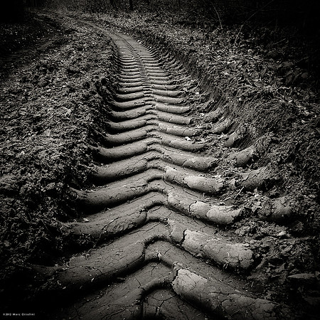 Tracks I