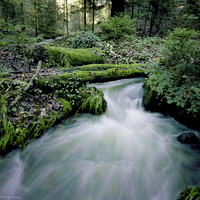 Autumn Water Flow