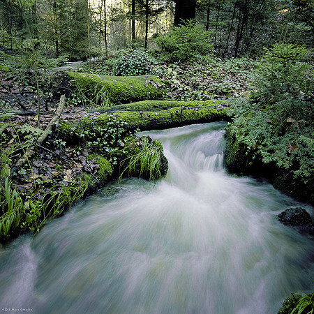 Autumn Water Flow