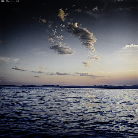 Water Field I