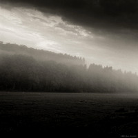 Dark Fields II