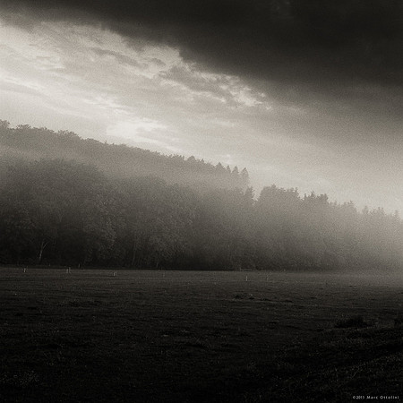 Dark Fields II