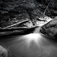 Springing Water I