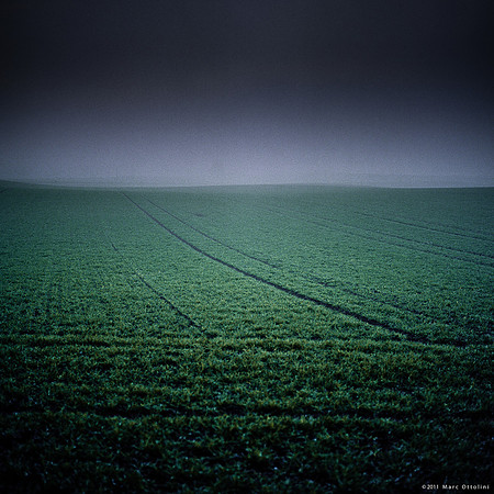 Lines in the Mist