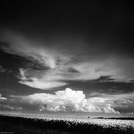 Cloudy High Sky I