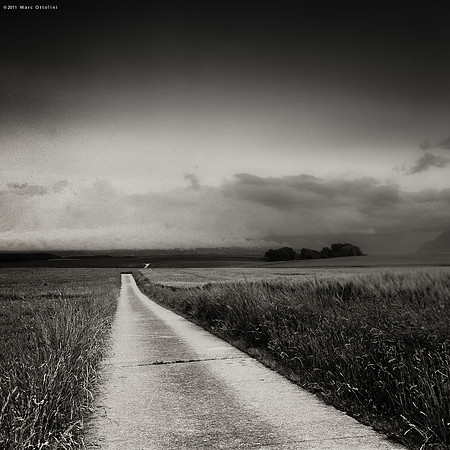 Follow the Road IV