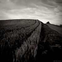 Follow the Lines II