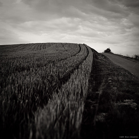 Follow the Lines II