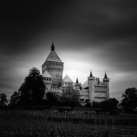 Castle of Vufflens