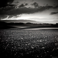 Night Fields III