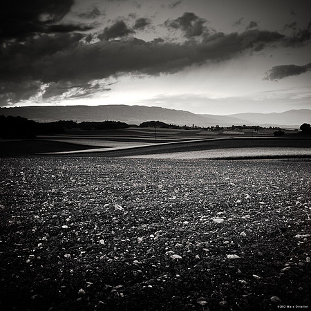 Night Fields III