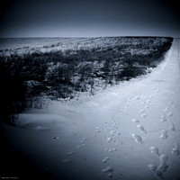 Winter Selenium II