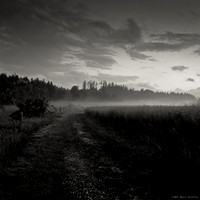 Dark Fields III
