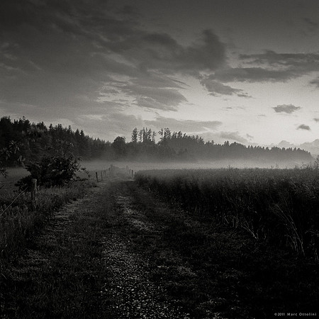 Dark Fields III