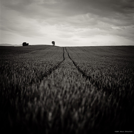 Follow the Lines I