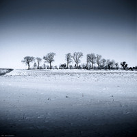 Winter Selenium I