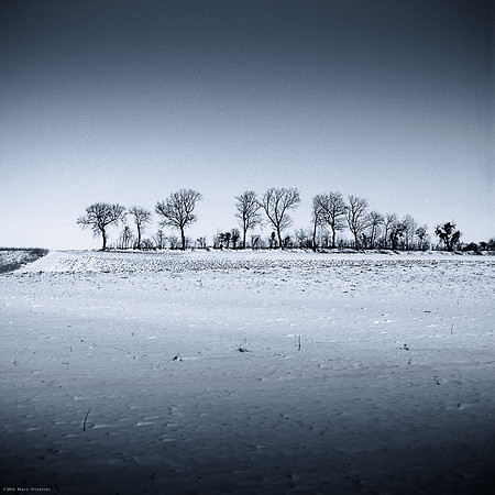 Winter Selenium I