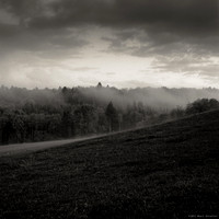 Dark Fields IV