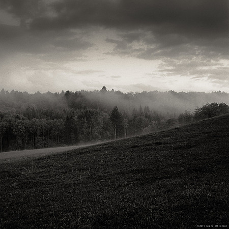 Dark Fields IV