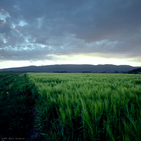 Sunset Greenfield I