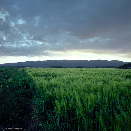Sunset Greenfield I