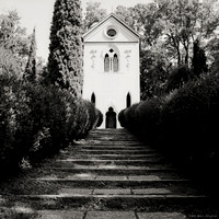 Parco Giardino Sigurta II